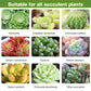 Bud Fertilizers for Succulent Plant-3