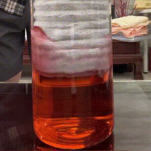 Absorbent Bath Towel-1