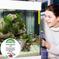 ✨️BUY 1 GET 1 FREE✨️Powerful Aquarium Water Purification Tablet